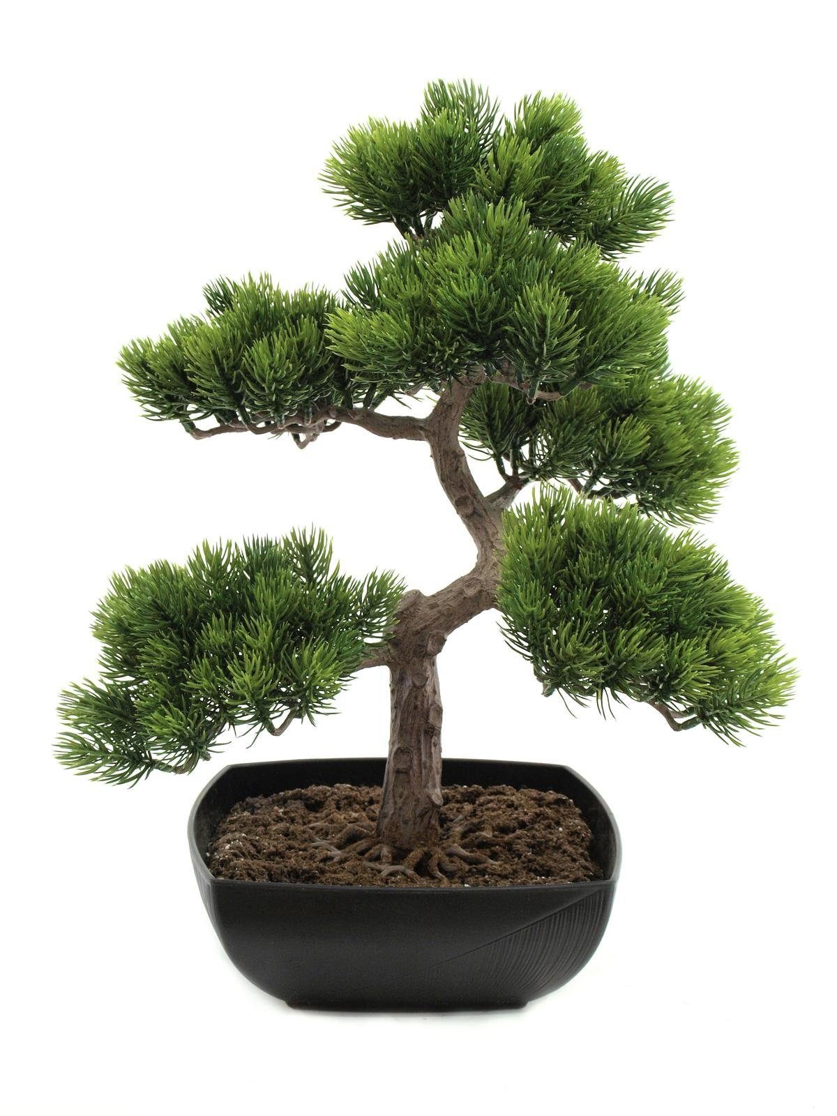 cm EUROPALMS, Höhe Kunstpflanze Bonsai-Pinie 50 Bonsai,