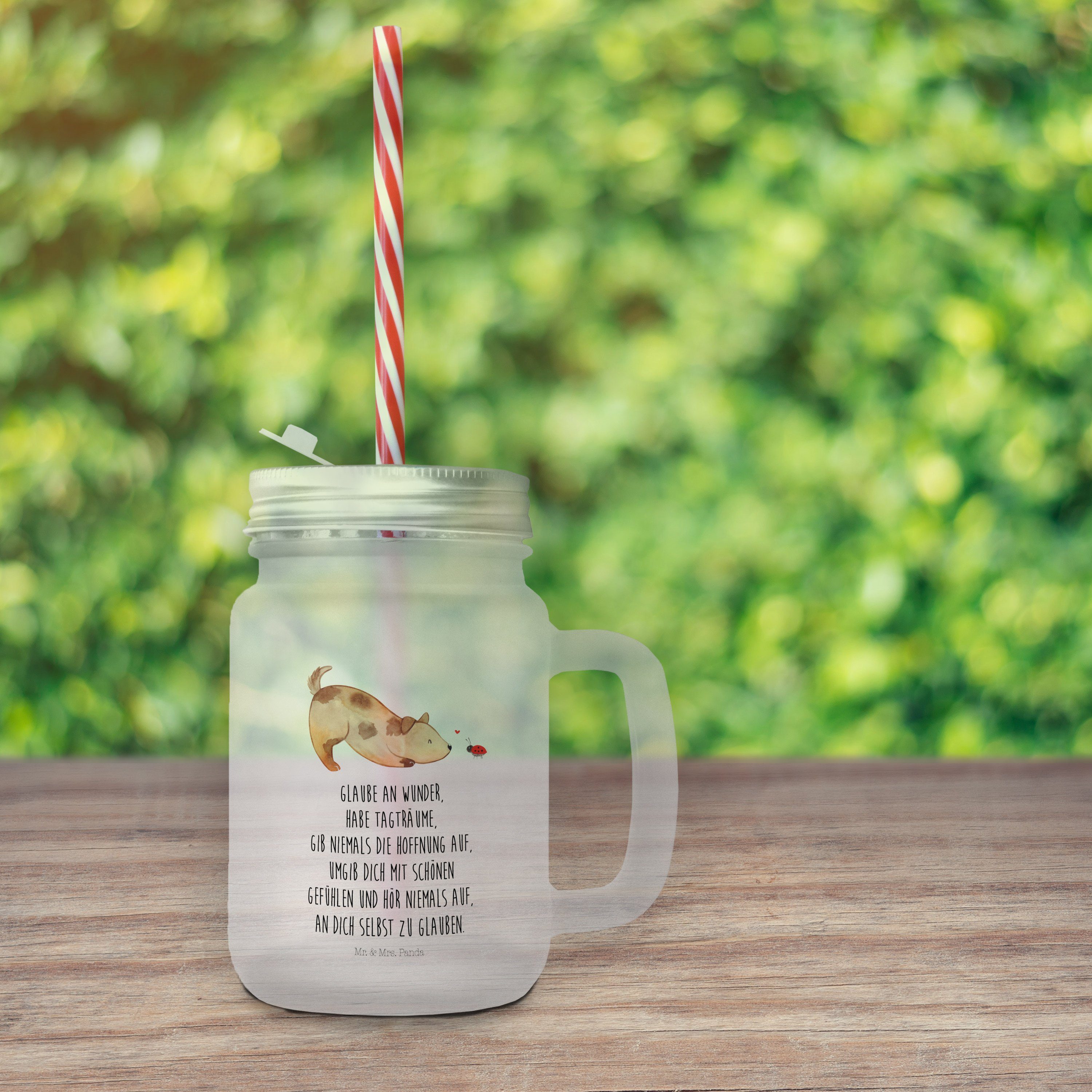Mr. & Mrs. Panda Glas - Geschenk, Premium Einmachglas, Sprüche, Glas Hund, Hund Marienkäfer Transparent 