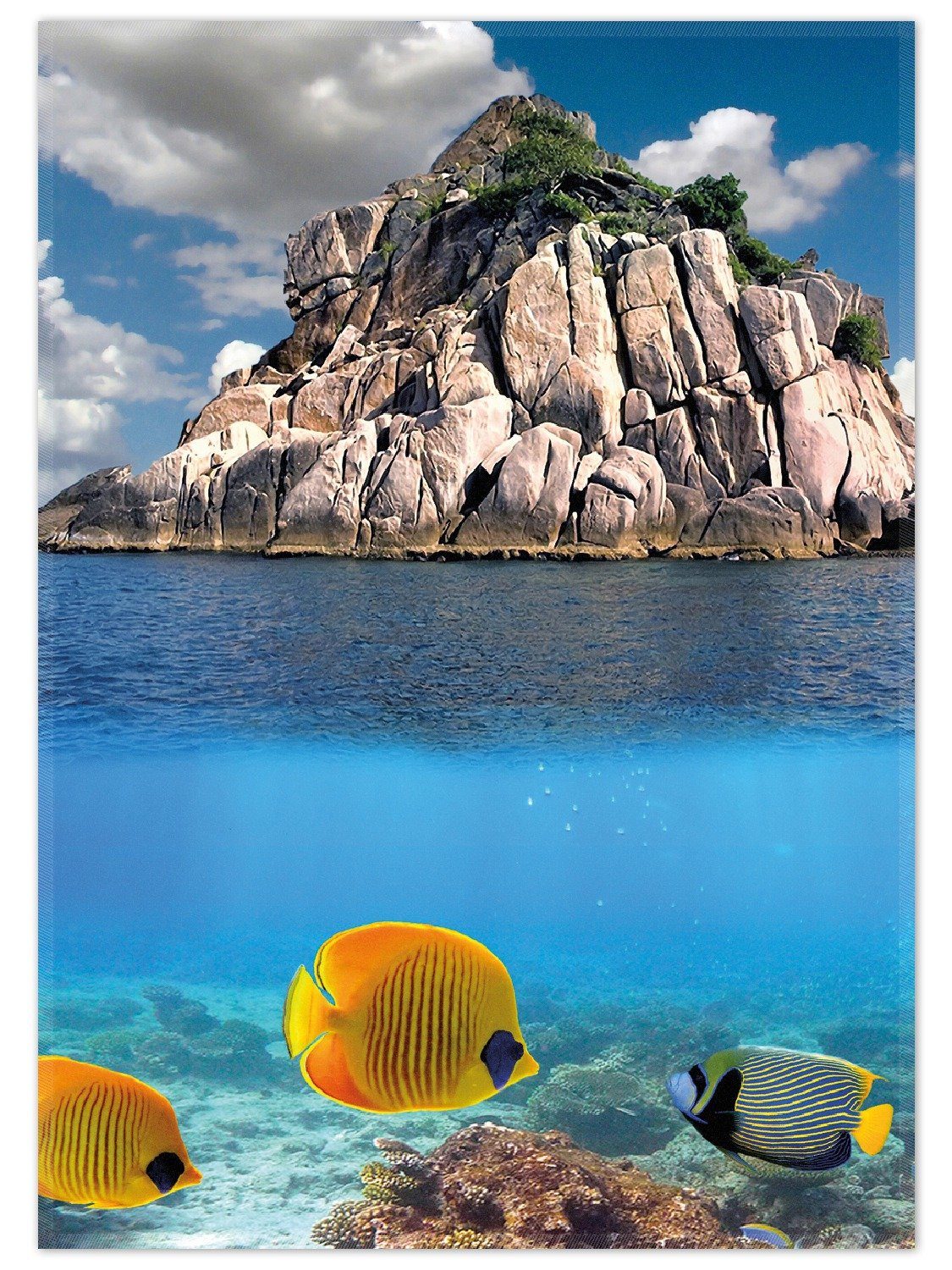 Wallario Teppich Exotische Fische im Meer, rechteckig, rutschfest