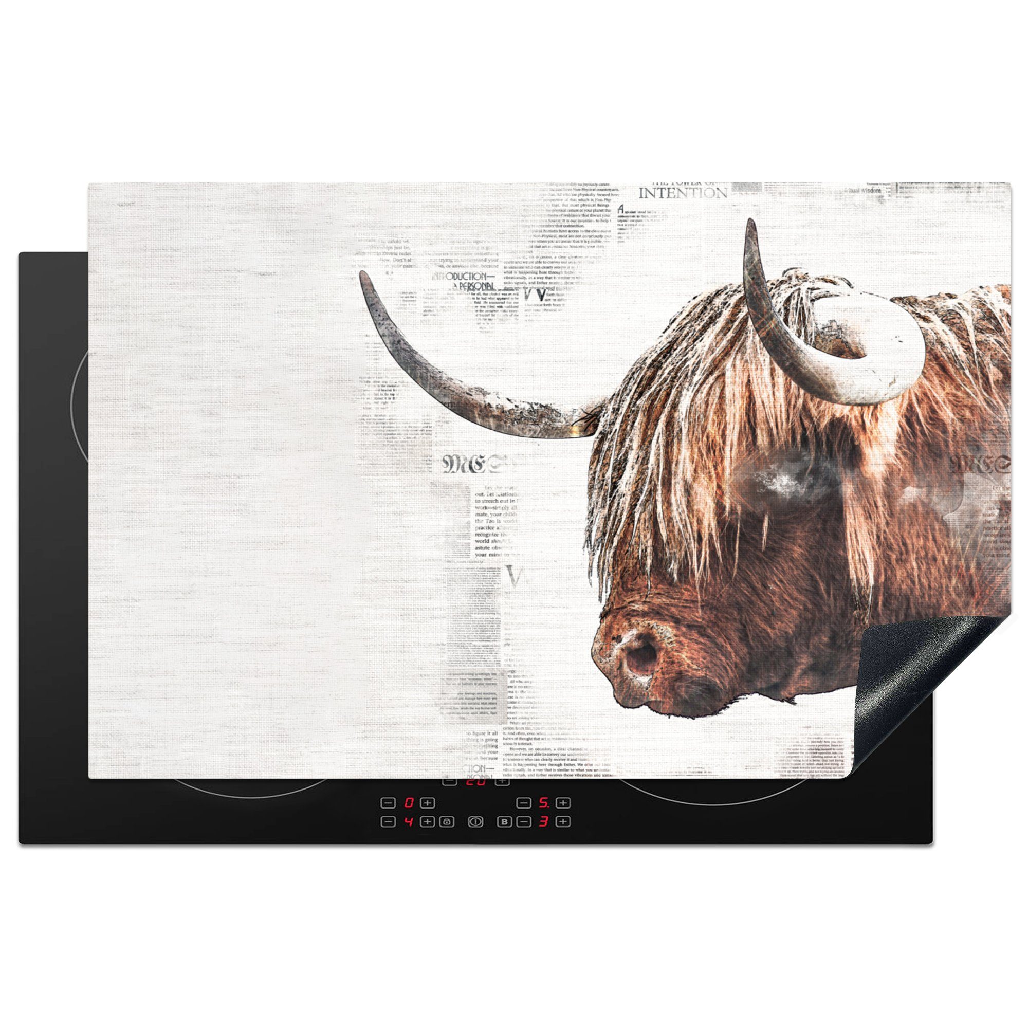MuchoWow Herdblende-/Abdeckplatte Scottish Highlander - Tiere - Zeitungsartikel, Vinyl, (1 tlg), 81x52 cm, Induktionskochfeld Schutz für die küche, Ceranfeldabdeckung