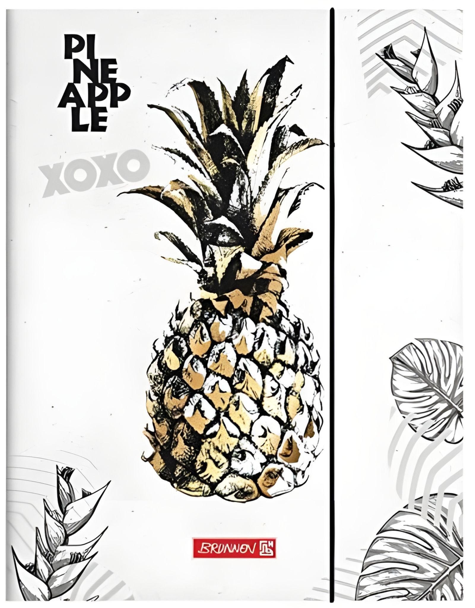 BRUNNEN Organisationsmappe BRUNNEN Sammelmappe A4 RVS Pineapple