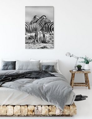 Pixxprint Leinwandbild Schmusende Zebras, Schmusende Zebras (1 St), Leinwandbild fertig bespannt, inkl. Zackenaufhänger