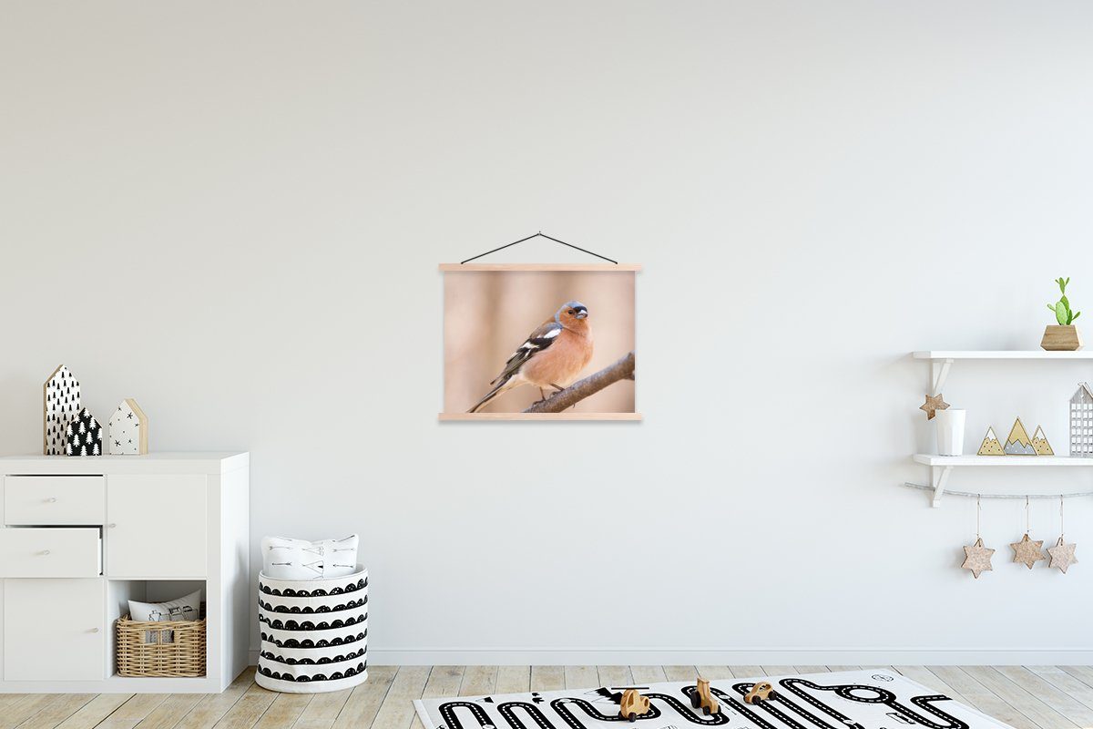 MuchoWow Poster Vogel - Tiere - Fink, (1 St), Posterleiste, Textilposter für Wohnzimmer, Bilderleiste, Magnetisch