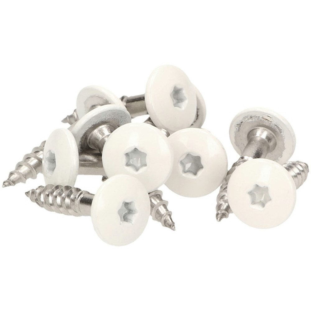 Meisterling® Fassadenschraube INOX, (V4A - 4,8 x 20 mm, Flachkopf Torx T20, 100 Stk), Weiss