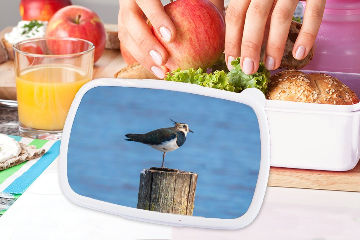 MuchoWow Lunchbox Blau für - Brotbox (2-tlg), Kinder Brotdose, und Erwachsene, für - Kunststoff, - Pfahl Mädchen und - Kiebitz, Tiere Jungs weiß Vogel