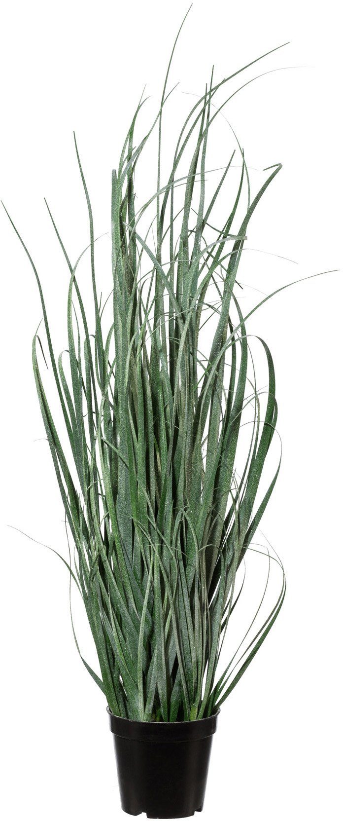 Winterliche Kunstpflanze Weihnachtsdeko Grasbusch, Creativ green, Höhe ...