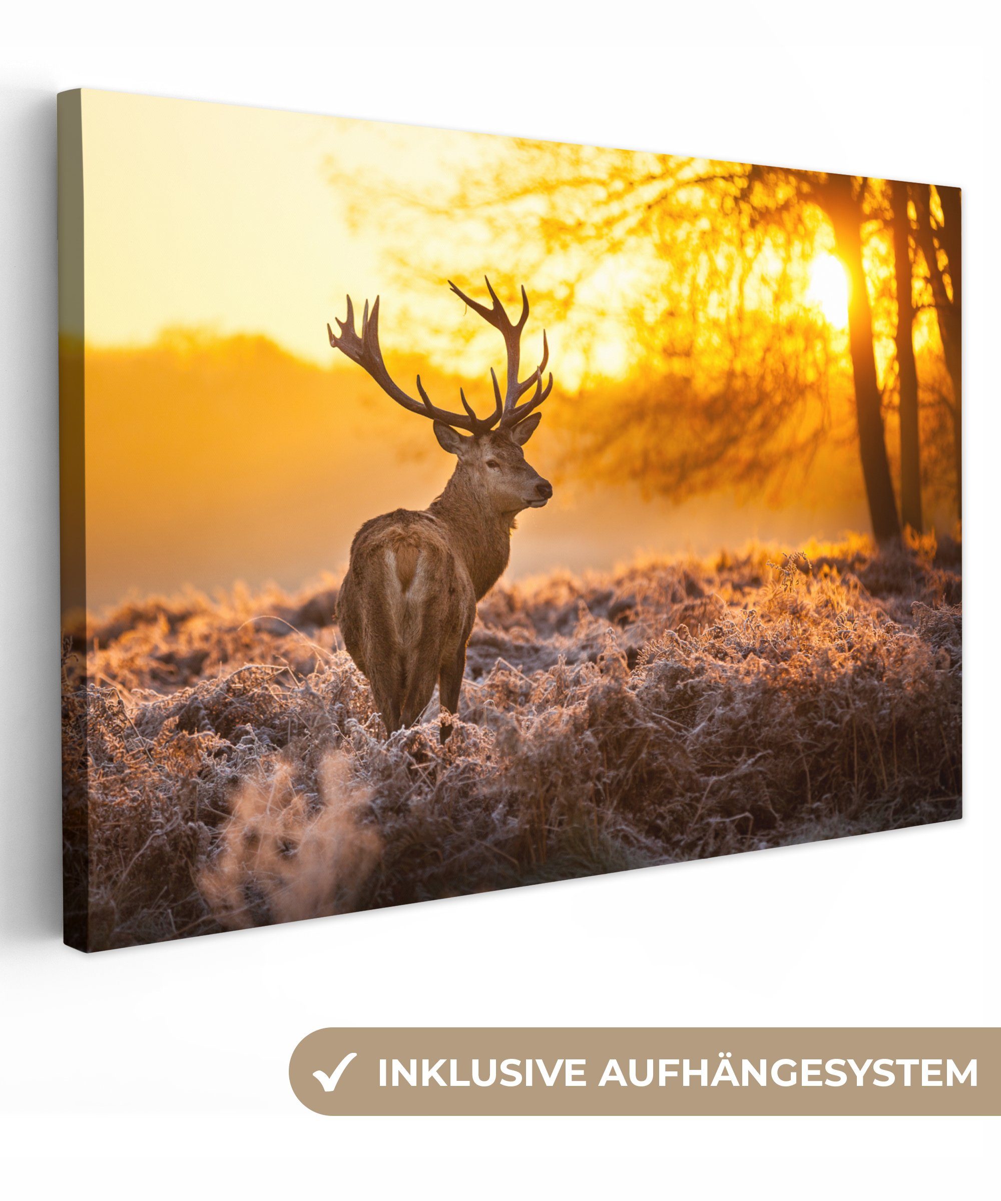 OneMillionCanvasses® Leinwandbild Hirsche - Tiere - Sonnenuntergang - Winte günstig online kaufen