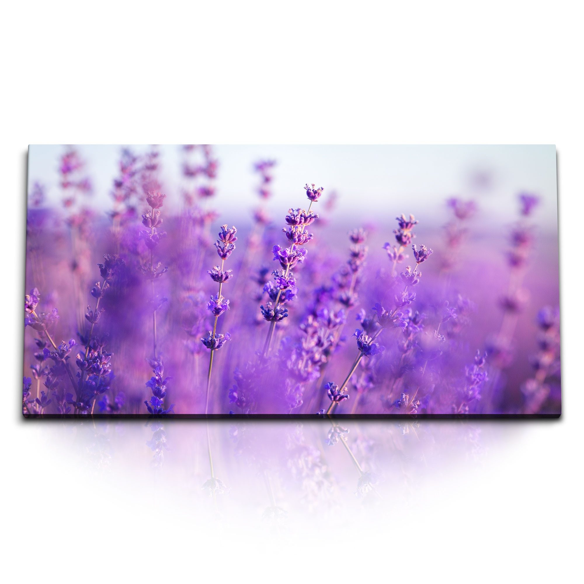 Leinwandbild Kunstdruck Bilder 120x60cm Lavendel Lavendelfeld Natur Violett Blumen