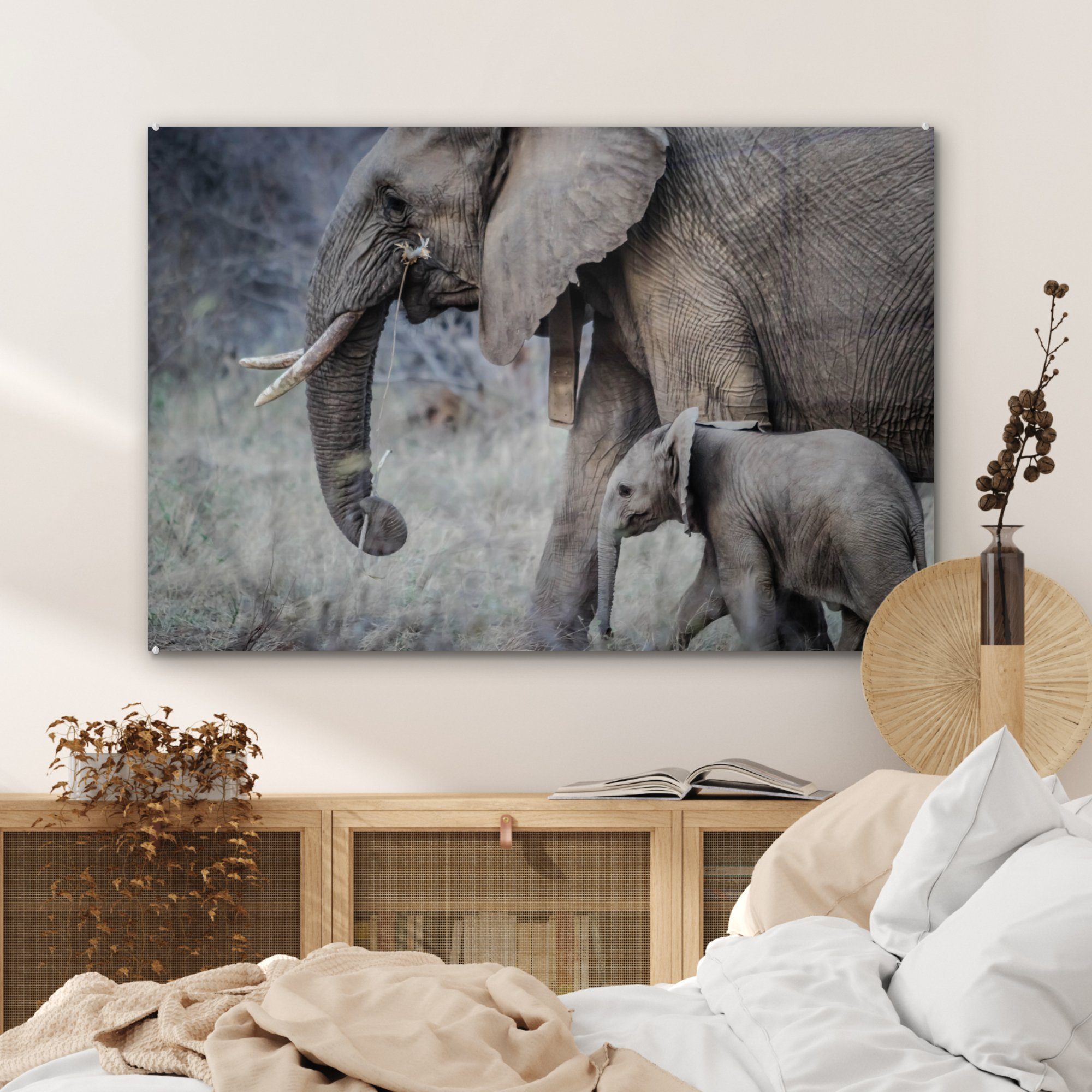 MuchoWow Acrylglasbild - Kalb Schlafzimmer Acrylglasbilder - & St), Elefant (1 Wohnzimmer Gras