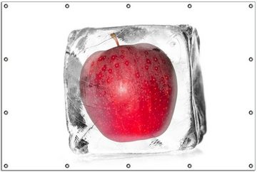 Wallario Sichtschutzzaunmatten Roter Apfel in Eiswürfel - Eiskaltes Obst, rund