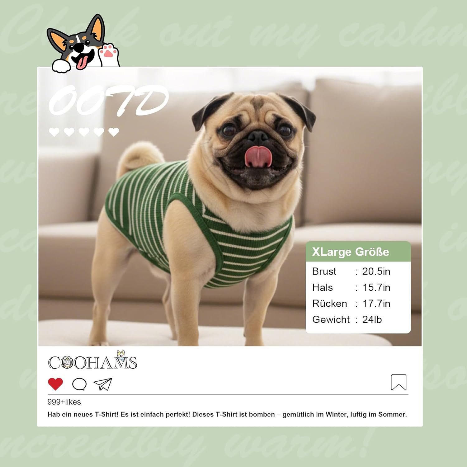 FELIXLEO Hundepullover Gestreiftes Hundeshirt Atmungsaktiv für Kleine Hunde M