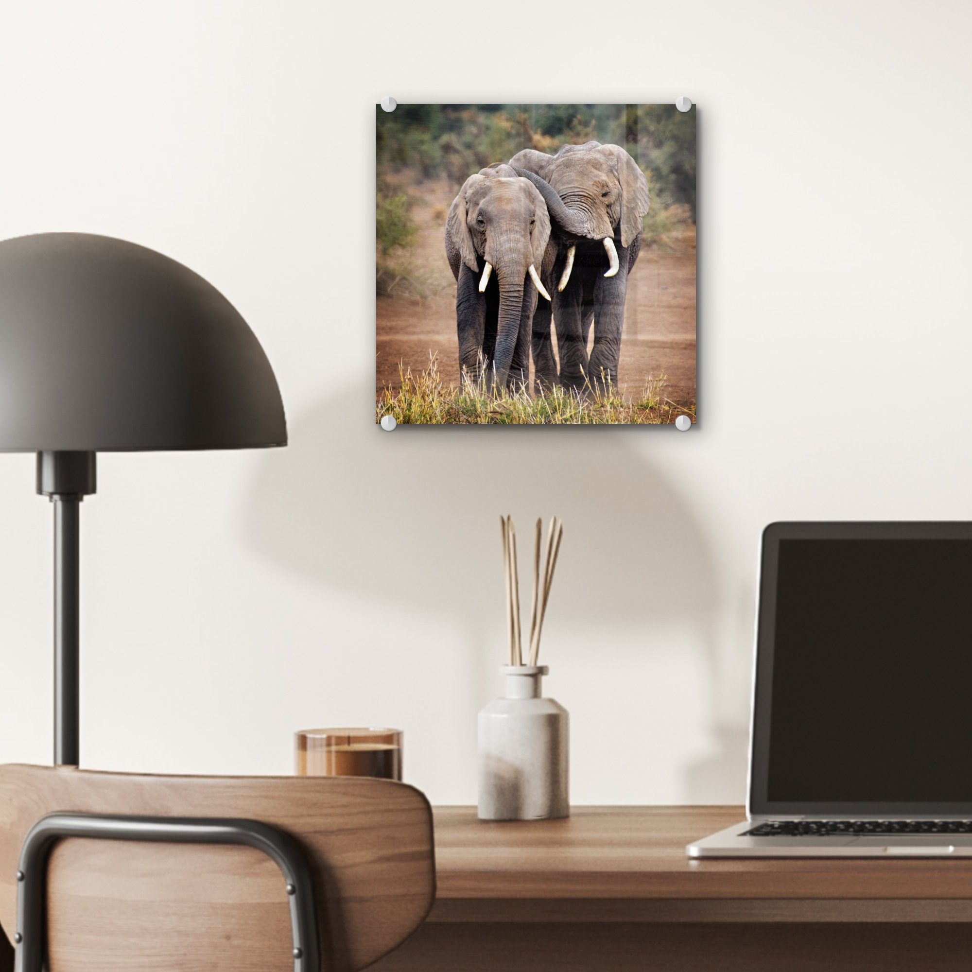 Acrylglasbild Glas Foto (1 - St), - Glas Wandbild Tiere MuchoWow - - - Bilder Wanddekoration auf Bäume Glasbilder auf Natur, Elefant -