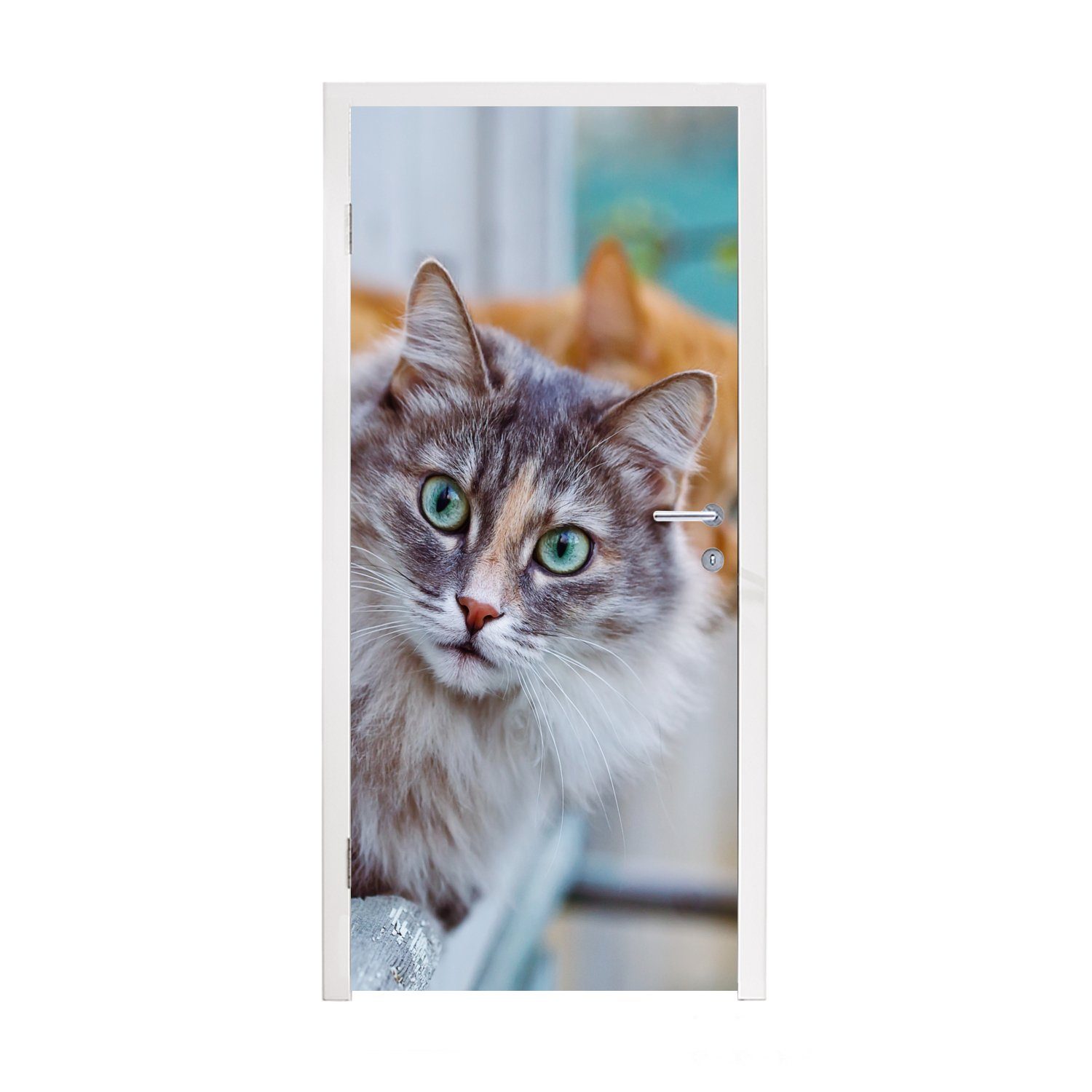 MuchoWow Türtapete Katze - Fenster - Katzen, Matt, bedruckt, (1 St), Fototapete für Tür, Türaufkleber, 75x205 cm | Türtapeten