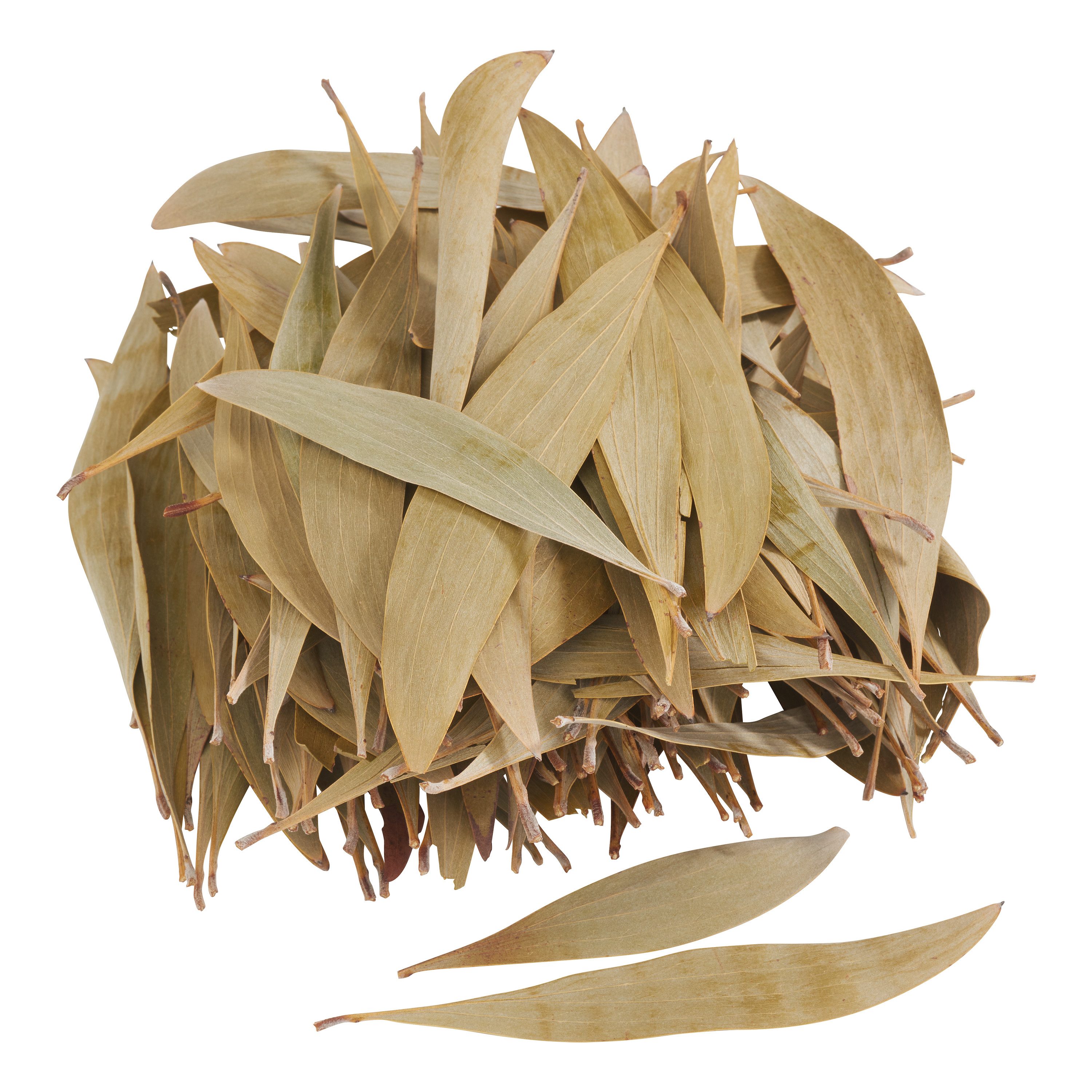 Kunstpflanze Eukalyptus Blätter, Othmar Decorations, 100g