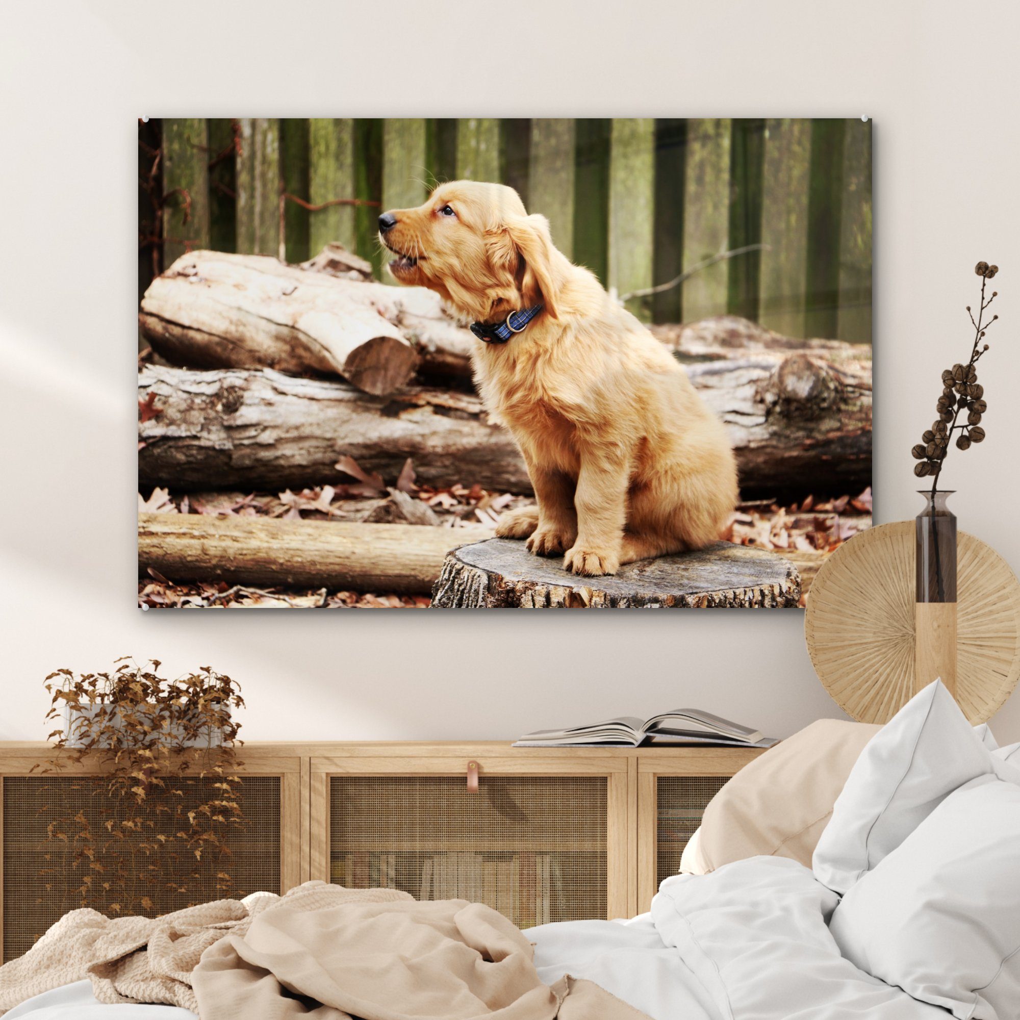 Zweig Schlafzimmer Acrylglasbild - - Acrylglasbilder Hund (1 Wohnzimmer & Natur, St), MuchoWow