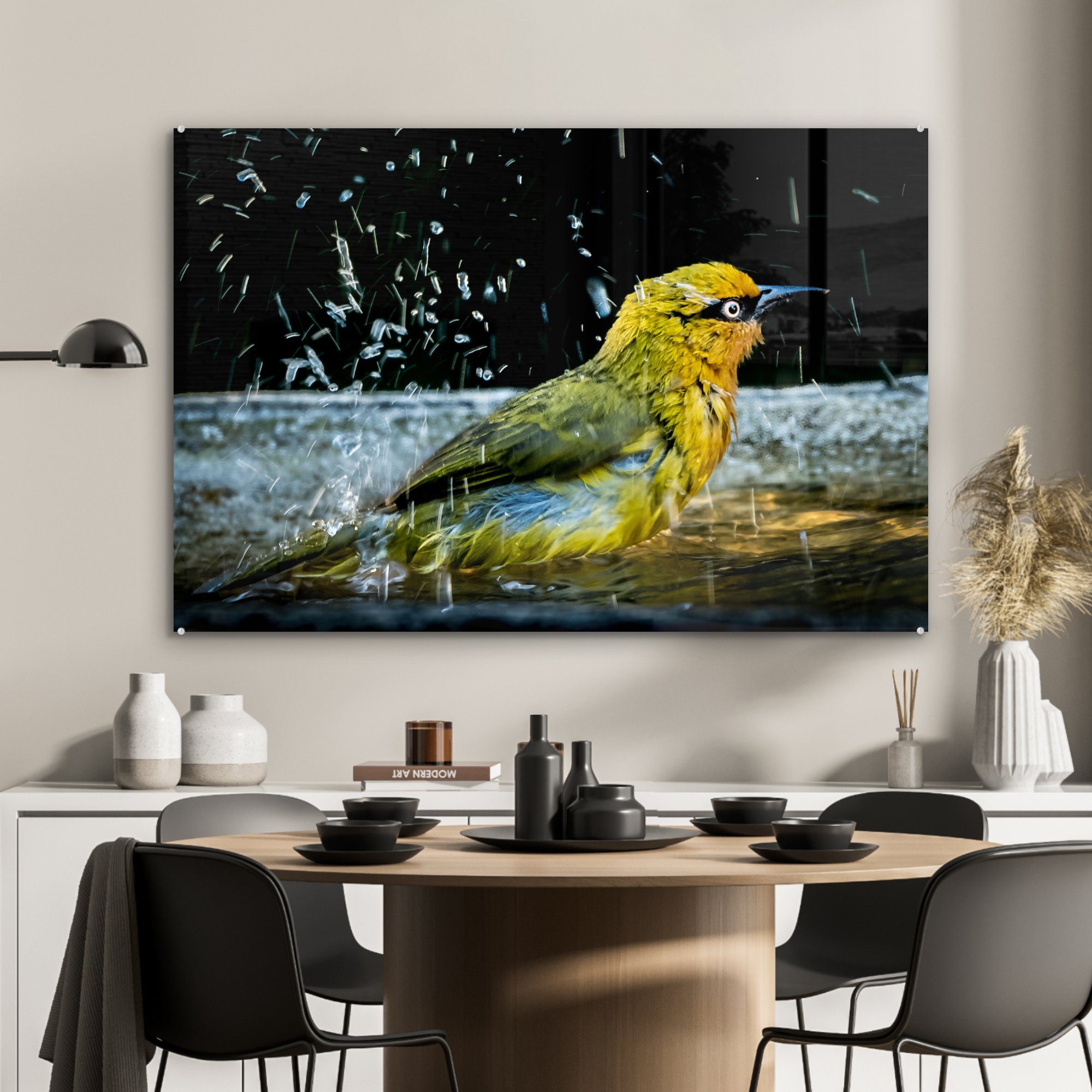 Acrylglasbilder & - St), MuchoWow Wasser, Schlafzimmer Wohnzimmer - Vogeltränke Acrylglasbild (1 Vogel