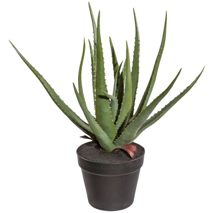 Kunstpflanze Sukkulente Aloe Creativ green Höhe 55 cm im Kunststofftopf
