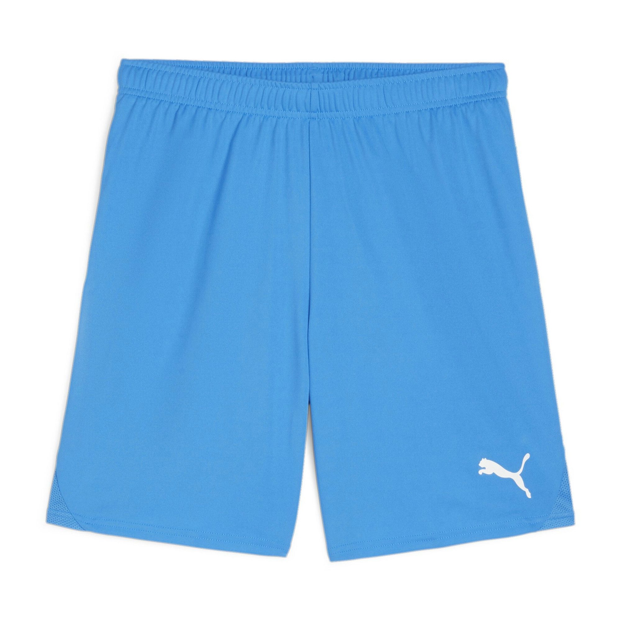 PUMA Trainingsshorts Puma Herren Short teamGOAL Shorts 705752 günstig online kaufen