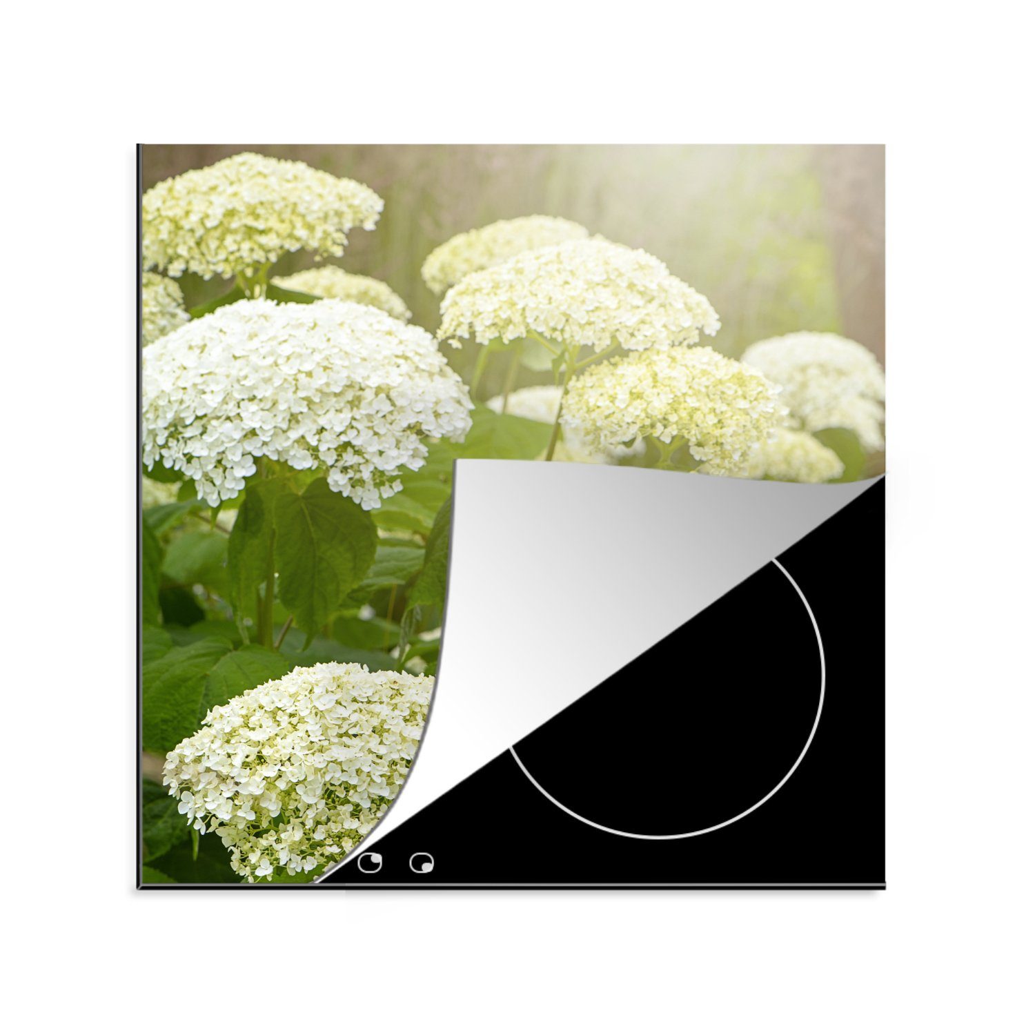 MuchoWow Herdblende-/Abdeckplatte Ein Meer von weißen Hortensien, Vinyl, (1 tlg), 78x78 cm, Ceranfeldabdeckung, Arbeitsplatte für küche