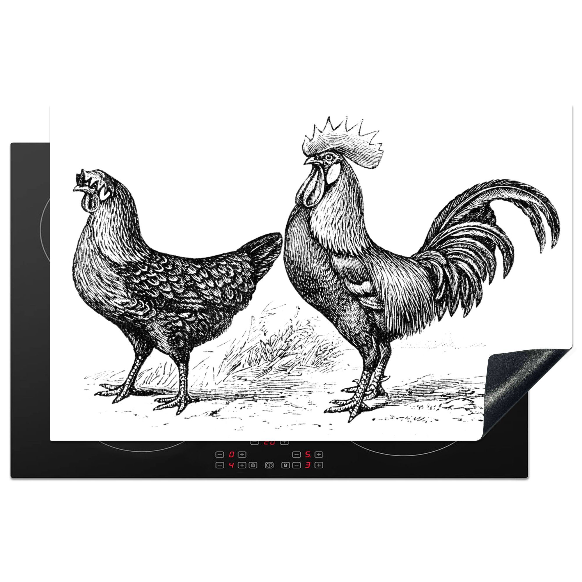 MuchoWow Herdblende-/Abdeckplatte Illustration eines Huhns und eines Hahns in Schwarz und Weiß, Vinyl, (1 tlg), 81x52 cm, Induktionskochfeld Schutz für die küche, Ceranfeldabdeckung