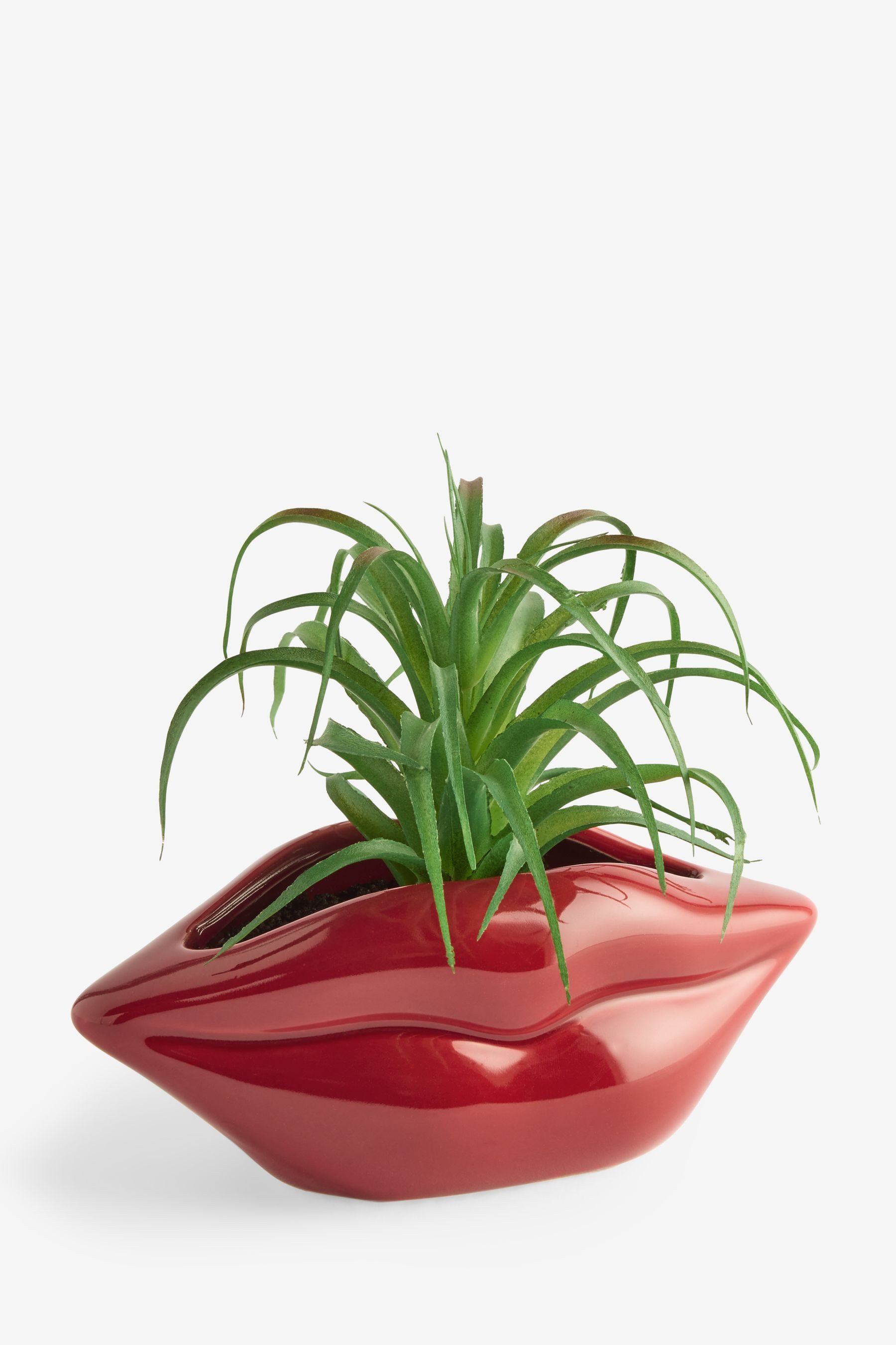Kunstblume Künstliche Sukkulente in roter Lippenvase, Next günstig online kaufen