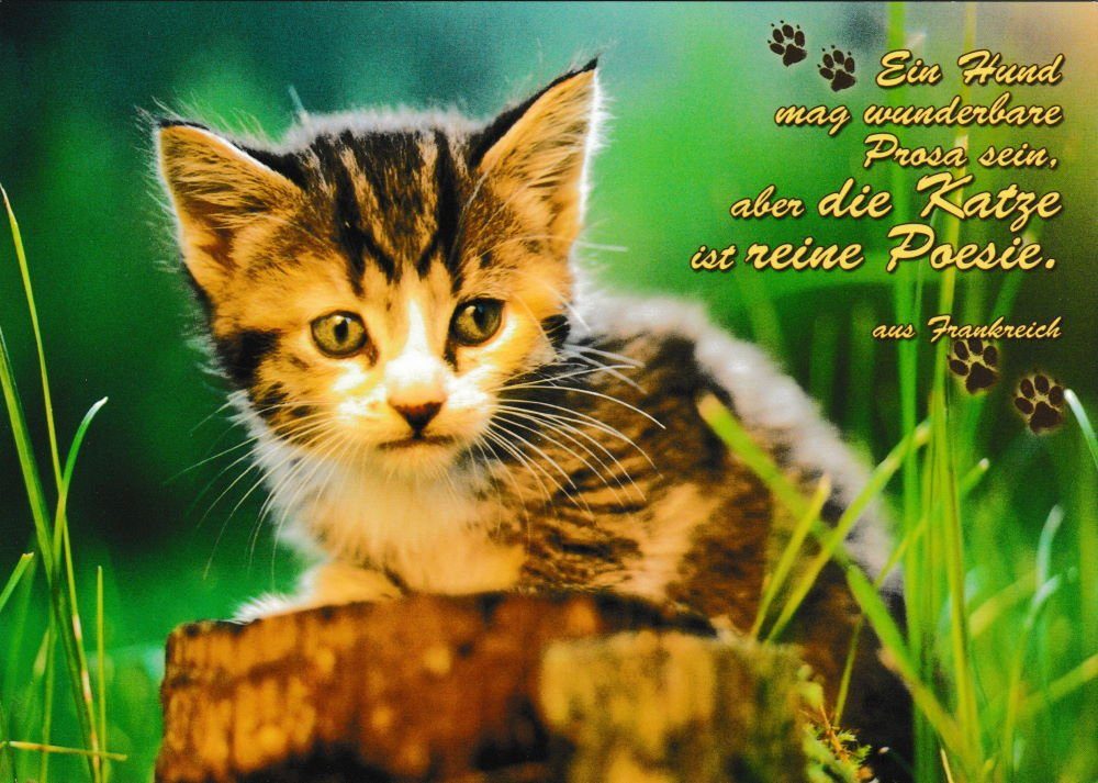 Postkarte "Ein Hund mag wunderbare sein, Katze ist Prosa ..." die aber