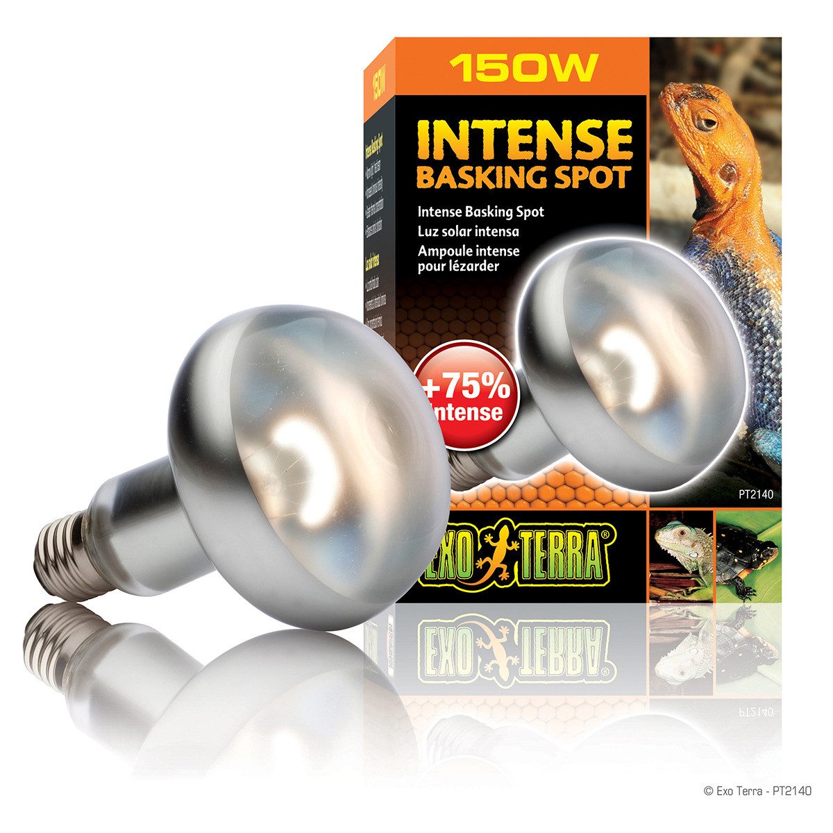 Exo Terra Terrarienleuchte Intense Basking Spot - Tageslichtlampe günstig online kaufen