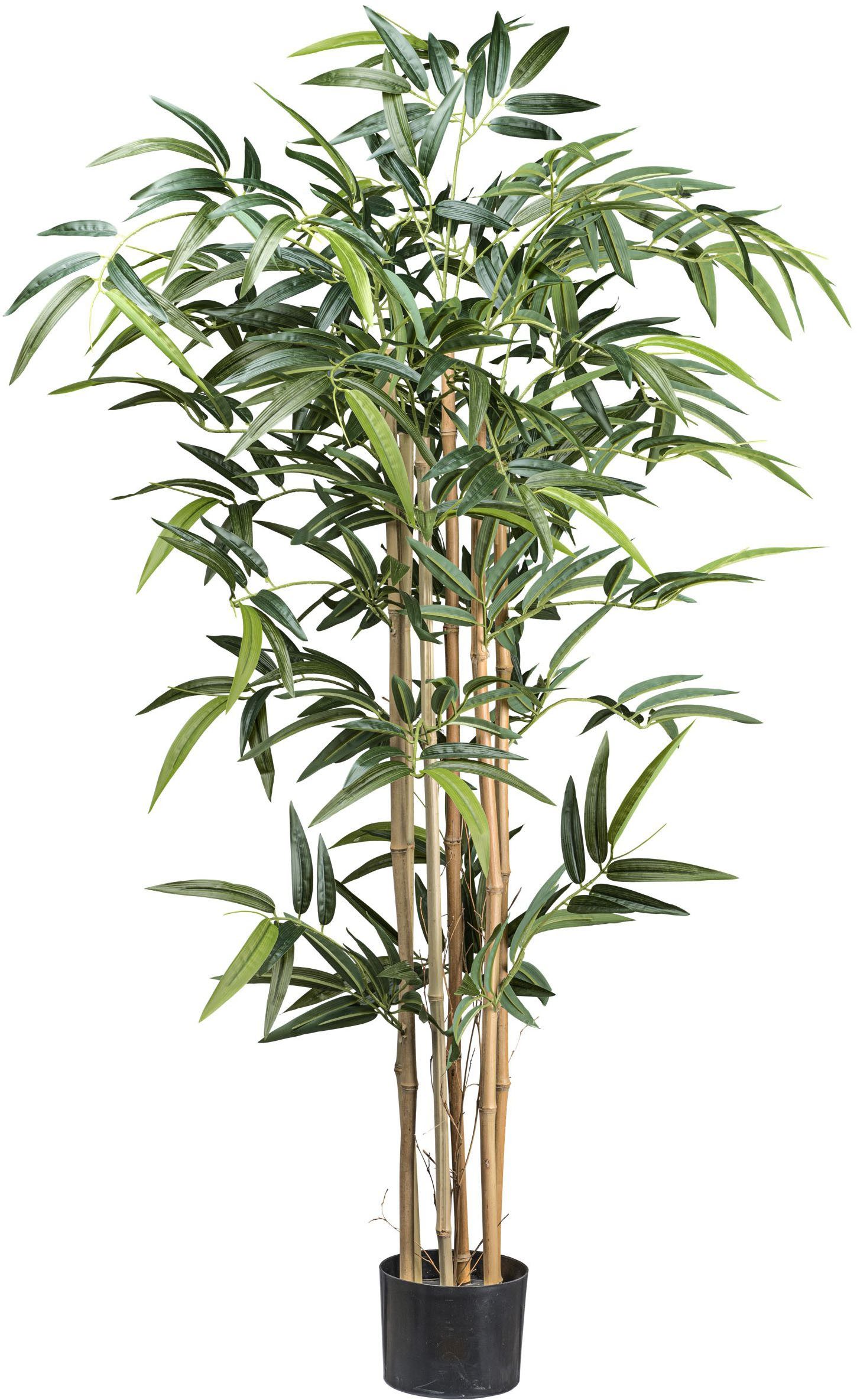 Kunstbaum Bambus Bambus, Creativ green, Höhe 130 cm, mit echten Bambusstäben