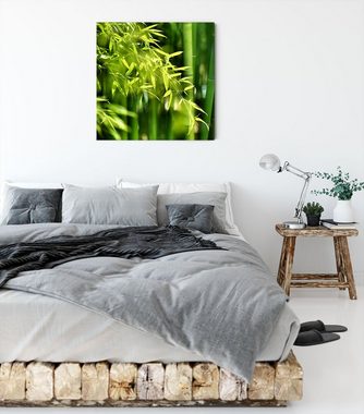Pixxprint Leinwandbild Bambus mit Blättern, Bambus mit Blättern (1 St), Leinwandbild fertig bespannt, inkl. Zackenaufhänger