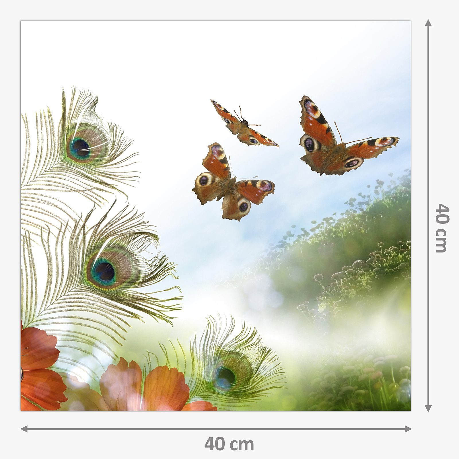 Küchenrückwand Glas Spritzschutz Federn und Schmetterlinge Primedeco