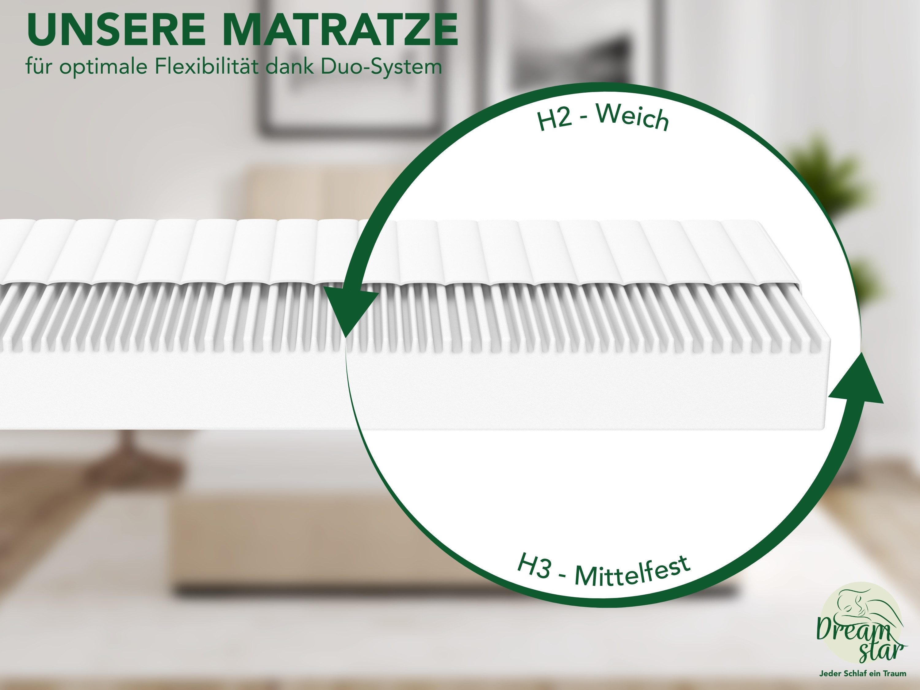 Kaltschaummatratze 7-Zonen Easy Flex - zwei Liegeseiten - 90x200 120x200 140x200 180x200, Dreamstar, verschiedene Größen, Härtegrade und Höhen - ergonomisch, we – Bild 4 von 5
