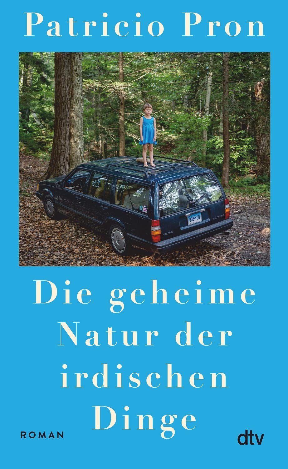 Die geheime Natur der irdischen Dinge / Patricio Pron