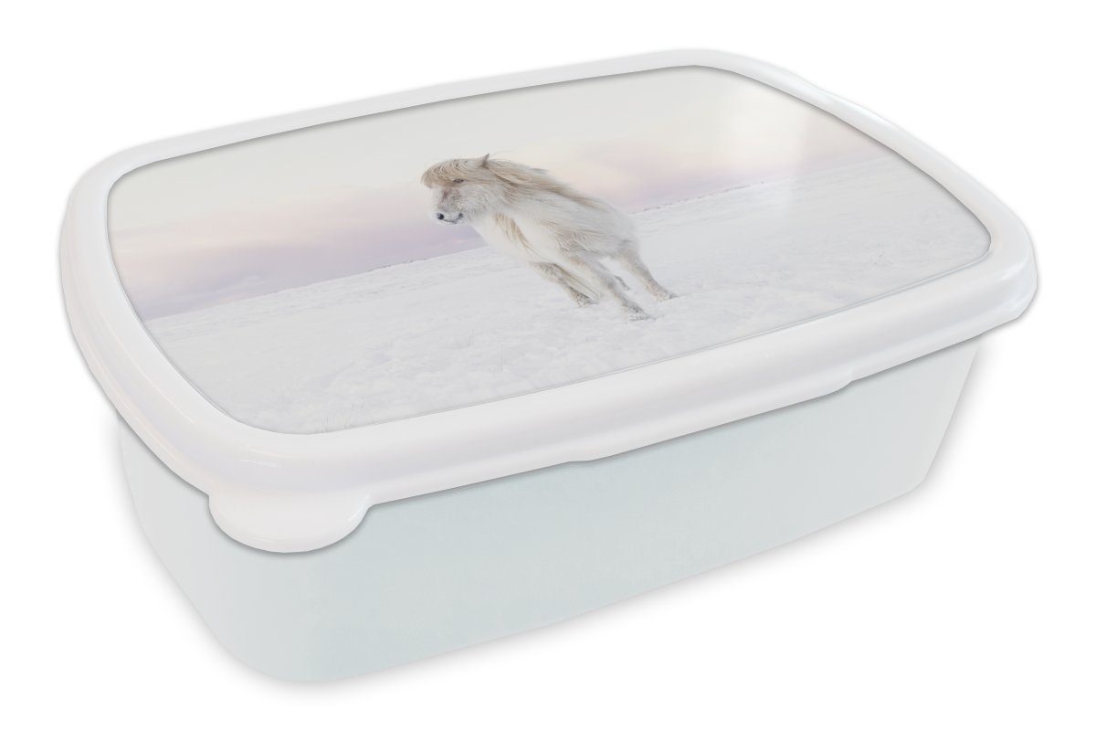 MuchoWow Lunchbox Weißes Isländerpferd im und (2-tlg), für Erwachsene, Mädchen Brotdose, Kunststoff, Kinder und Jungs Brotbox Schnee, für