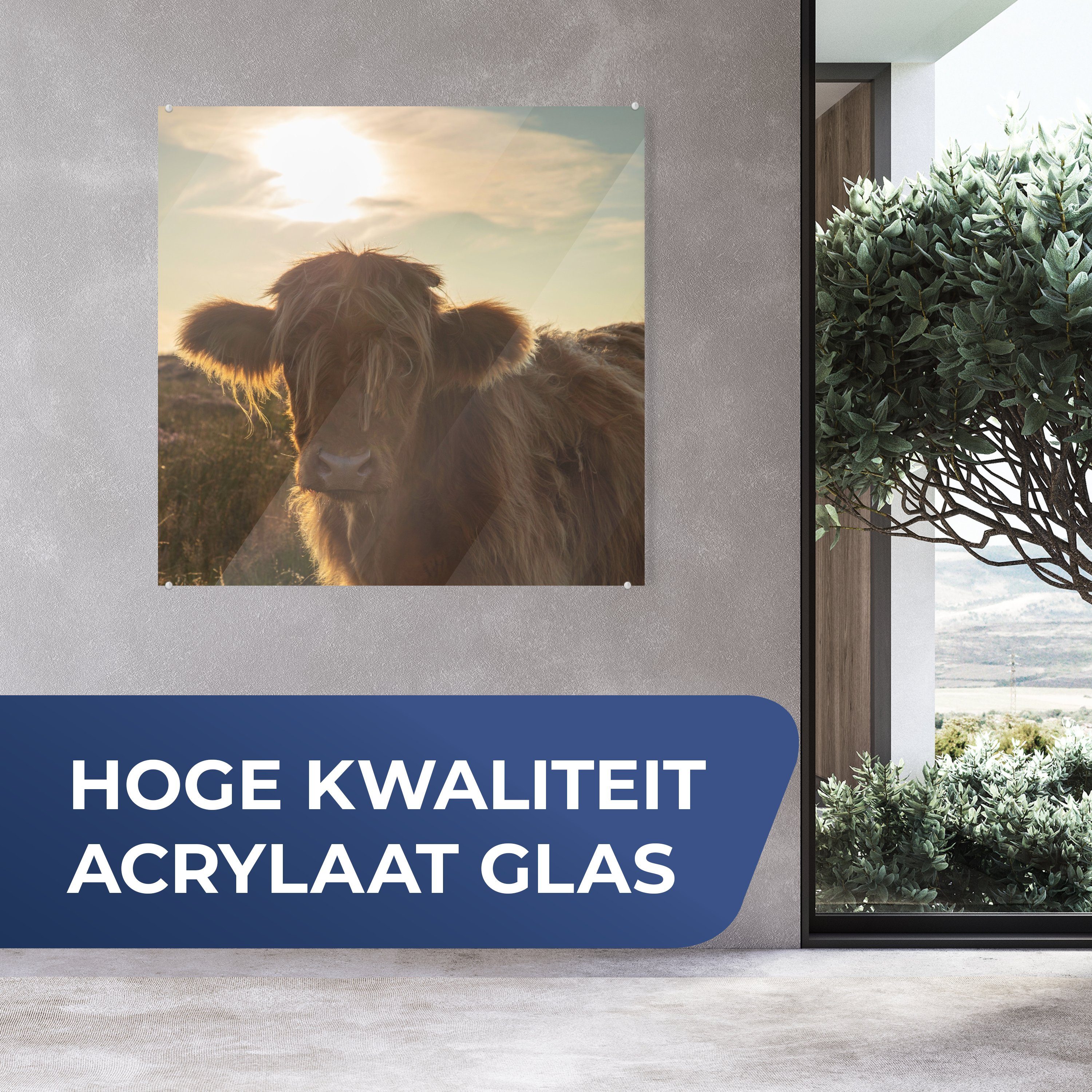 - Schottischer Küche für Sonnenuntergang Bild - St), (1 auf bunt Acrylglasbild MuchoWow Glas & Dekorative Gras, Wohnzimmer Highlander