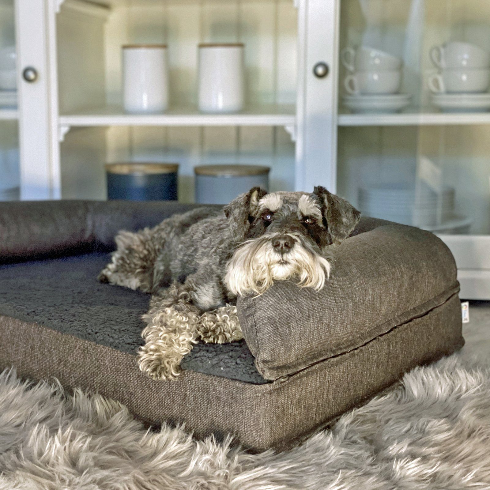 Mr. Cuddles Tierbett BELLA, Hundebett, orthopädisch, Teddyfell, Bezug wasch günstig online kaufen