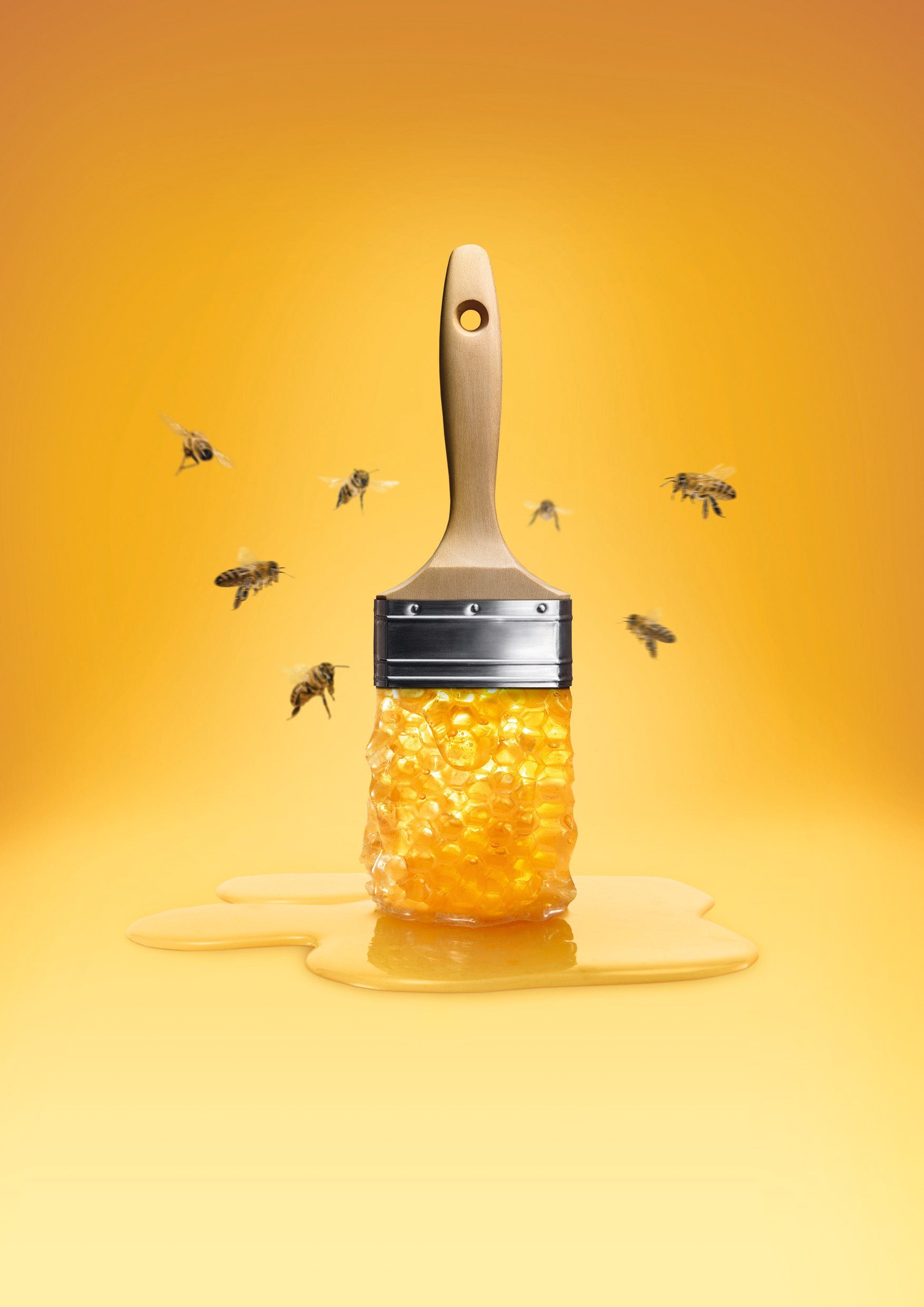 SCHÖNER WOHNEN FARBE Trendfarbe, Wandfarbe - und Deckenfarbe Wand- Allergiker für geeignet Liter, hochdeckende Honey, 1