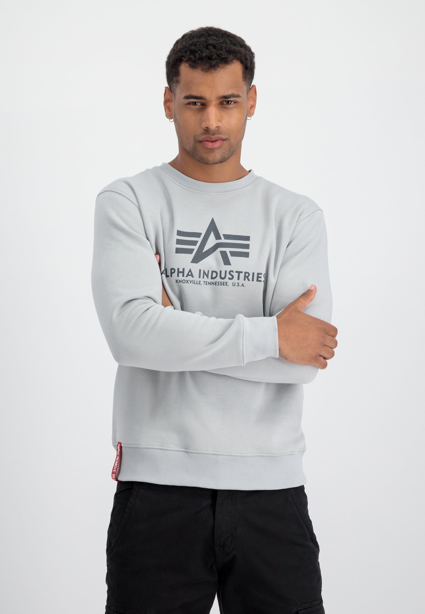 Sweater Alpha Industries Basic Men pastel grey - Sweater Alpha Industries Sweatshirts