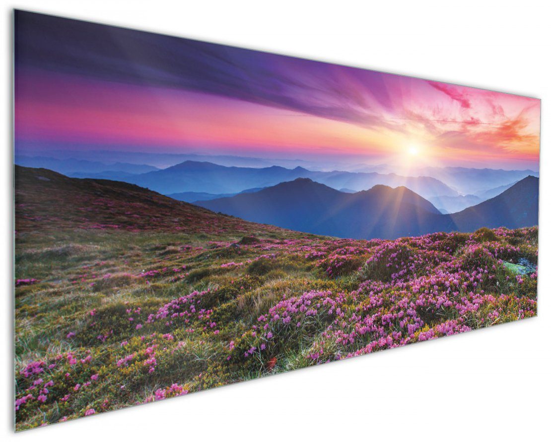 Wallario Küchenrückwand Blumenbedeckte Wiese bei Sonnenuntergang, (1-tlg)