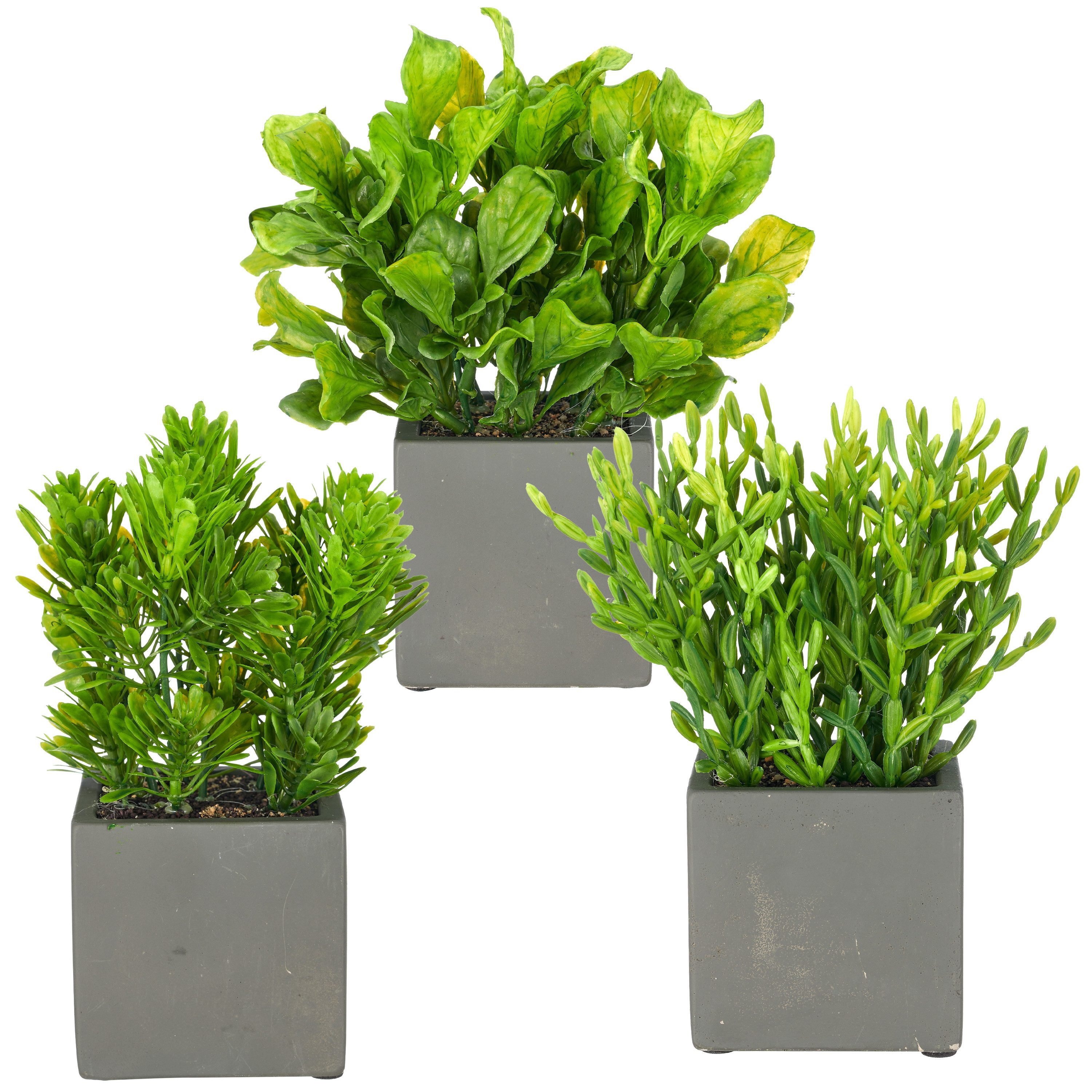 Kunstpflanze Grünpflanzen-Mix, Creativ green, Höhe 18 cm, im trendigen Pflanzgefäß