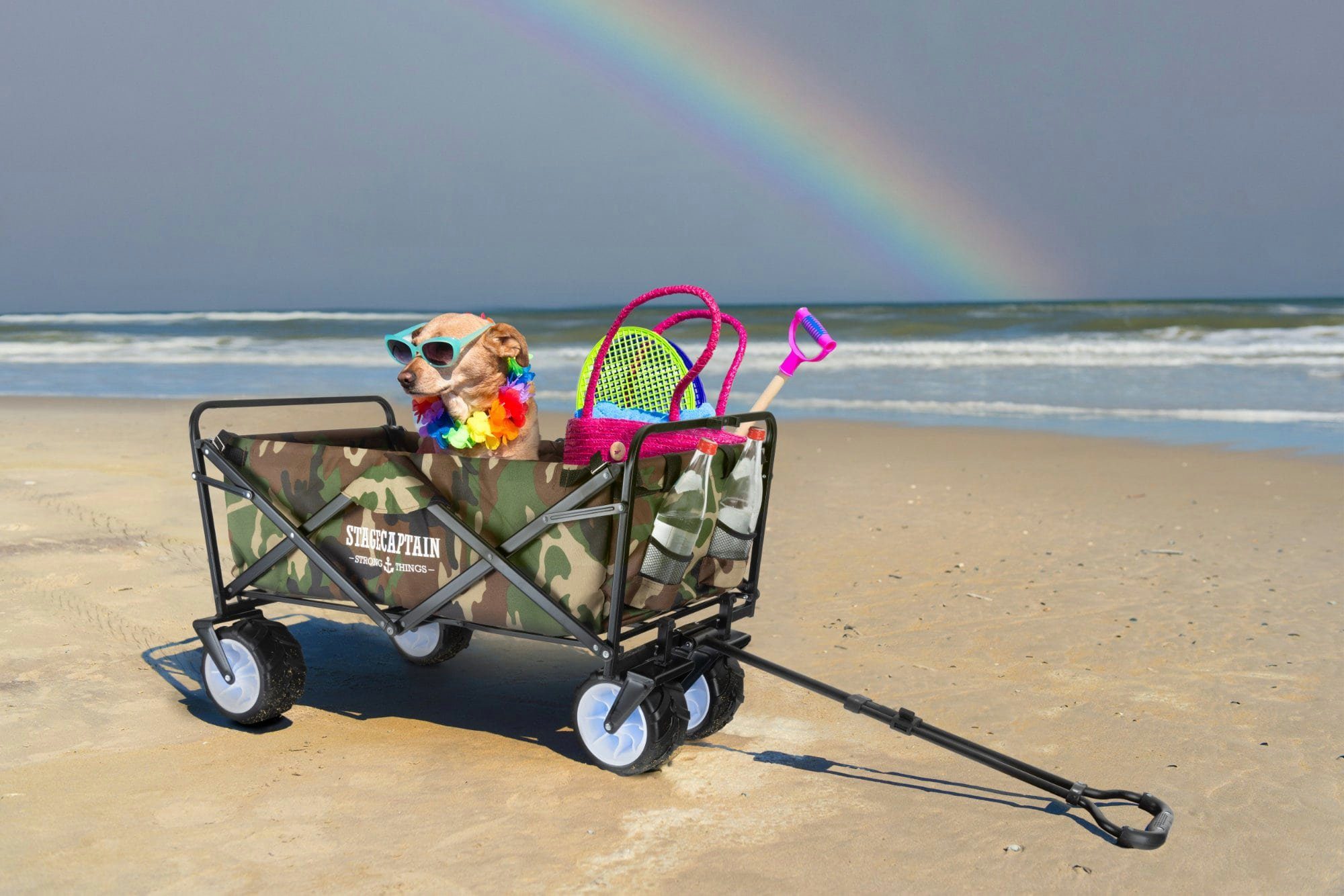 Thumbnail - Stagecaptain Bollerwagen Bollycart-907 Bollerwagen faltbar 80kg, Handwagen zusammenklappbar ohne Dach mit breiten, große...
