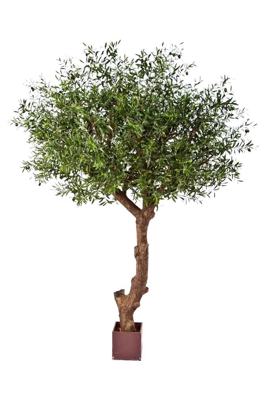 Kunstbaum Künstlicher Olivenbaum - Ilias, 270 cm, aplanta