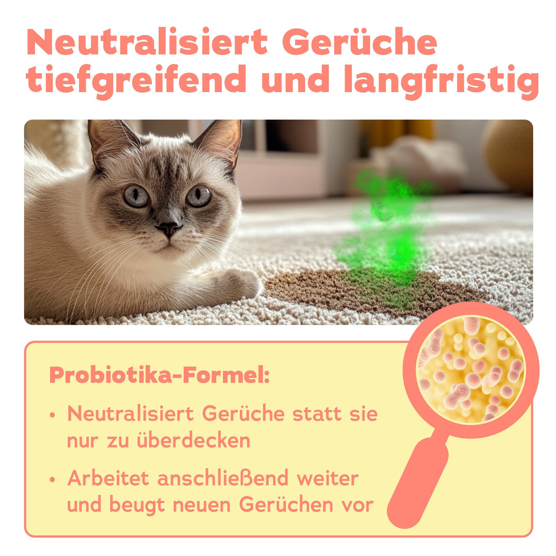 bio-chem Geruchsentferner Enzymreiniger Katzenurin 750 ml mit Mikroorganismen gegen Tiergerüche (2x Geruchsentferner Katze 0.75 l Handsprayflasche)