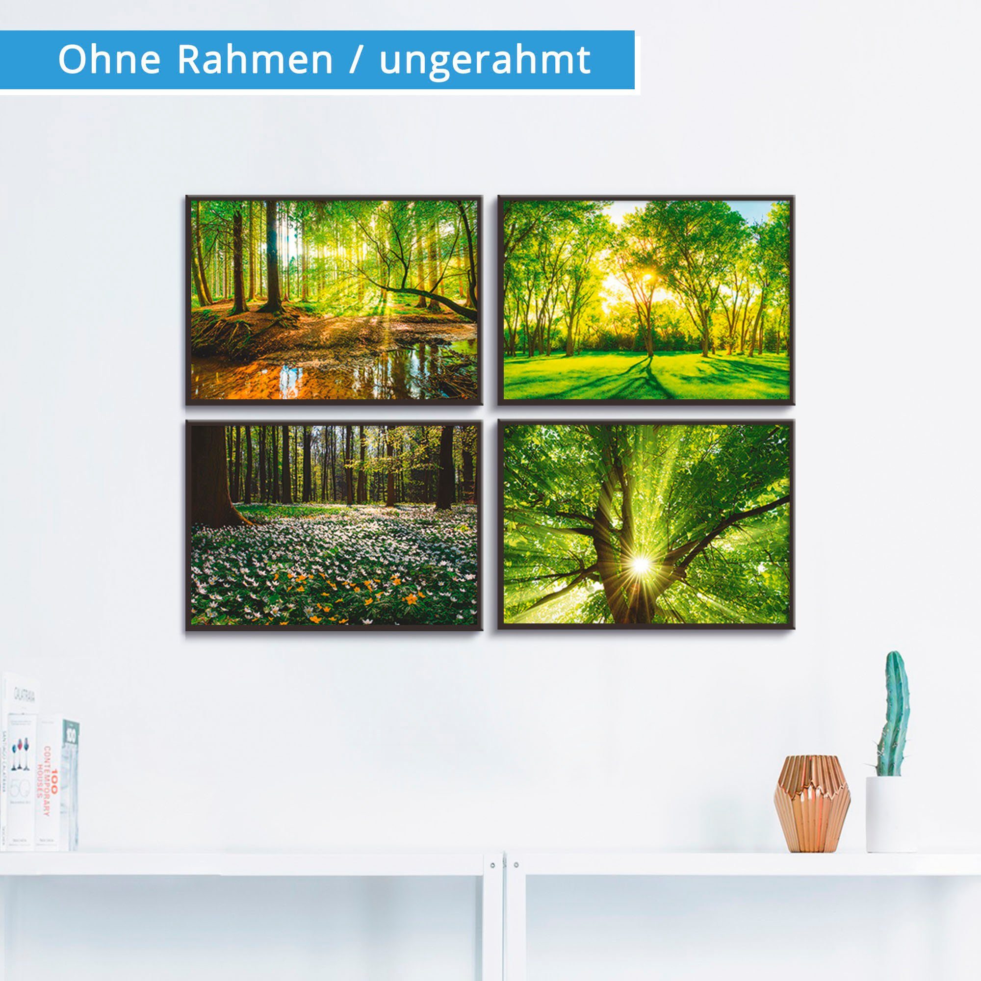 Artland Poster Wald Bach Frühling Windrosen Sonne Baum, Wald (4 St), Bilder Set, 4tlg., ohne Rahmen