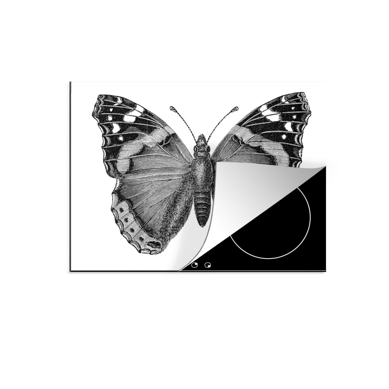 MuchoWow Herdblende-/Abdeckplatte Botanische Illustration Schmetterling, Vinyl, (1 tlg), 70x52 cm, Mobile Arbeitsfläche nutzbar, Ceranfeldabdeckung