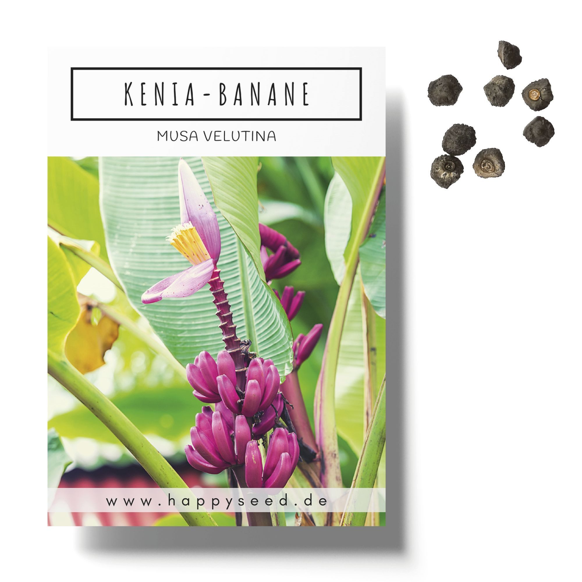HappySeed Blumensamen Kenia Bananen Samen (Musa günstig online kaufen