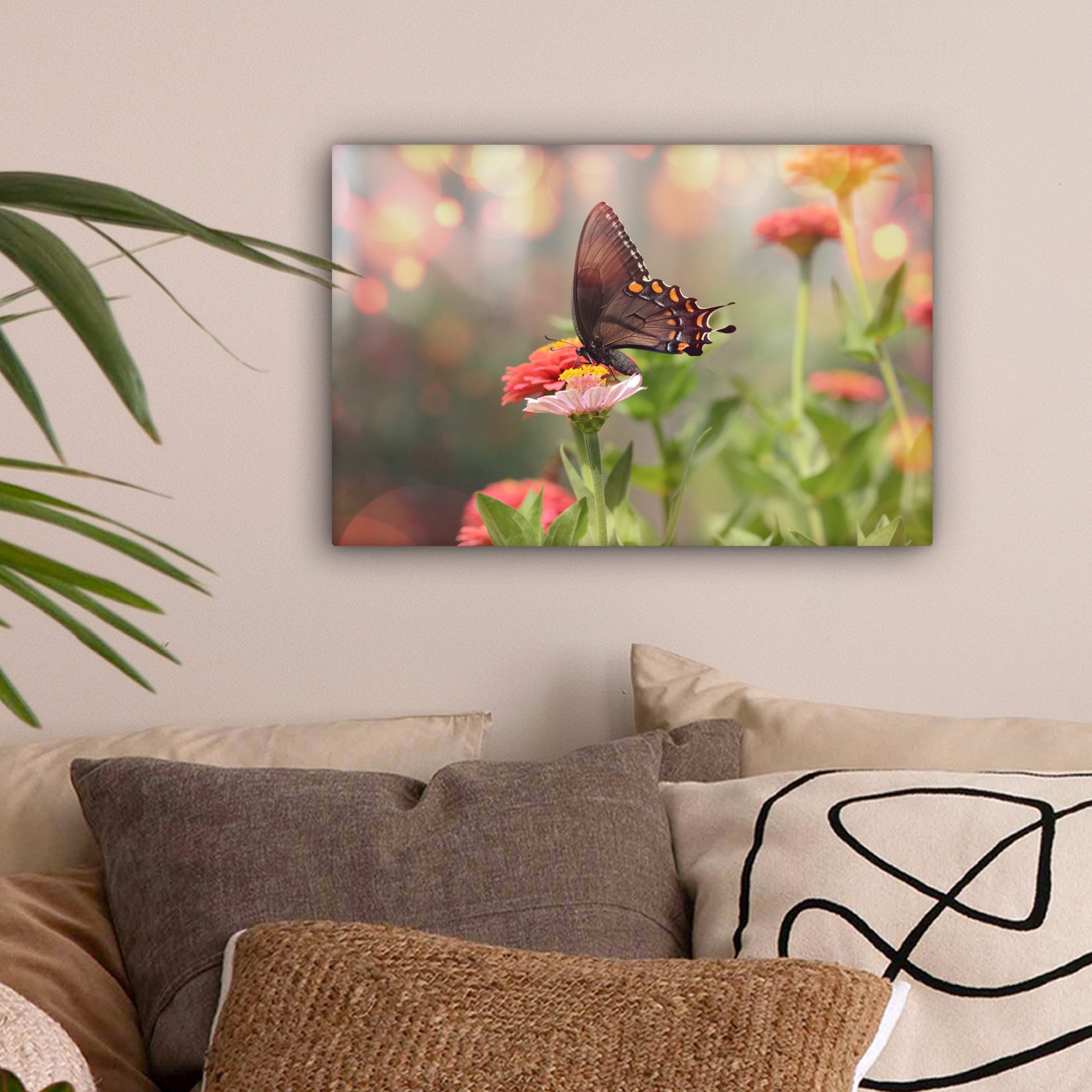 OneMillionCanvasses® Leinwandbild Blumen - Schmetterling - günstig online kaufen