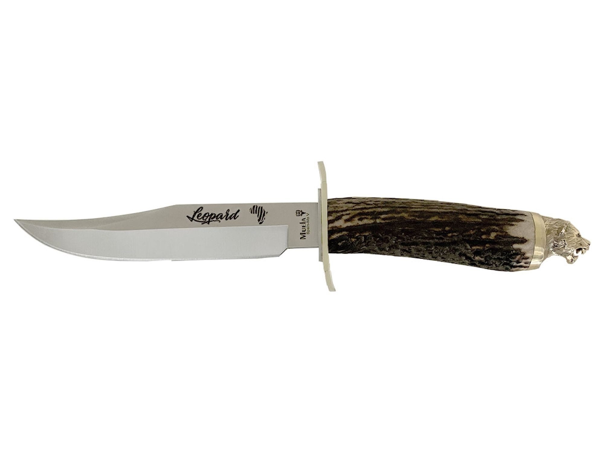 Taschenmesser Muela African Leopard Stag 16BF