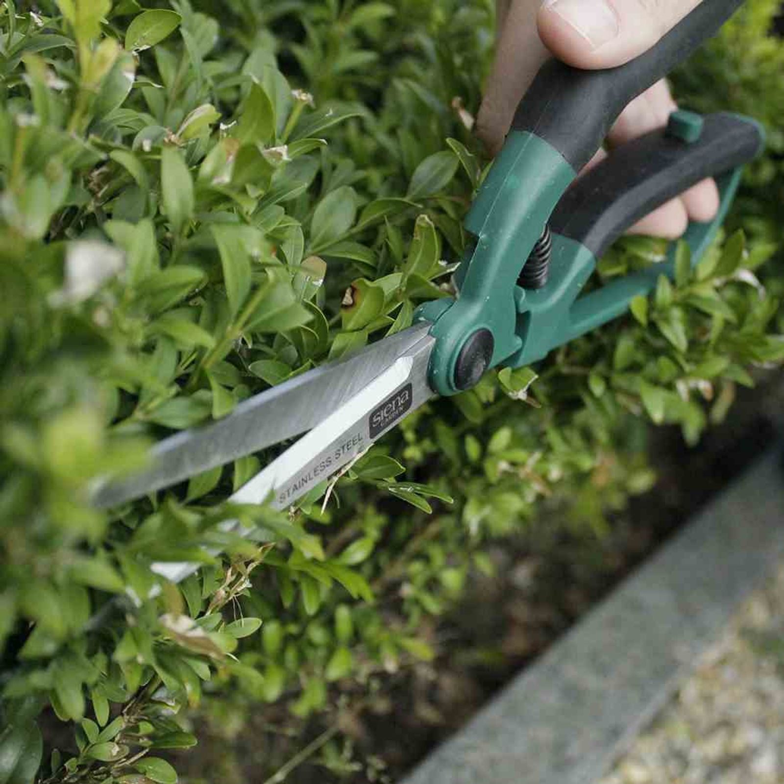 Siena Garden Grasschere Formschnittschere CB2100 27cm Gartenschere Astschere Rosenschere Scher