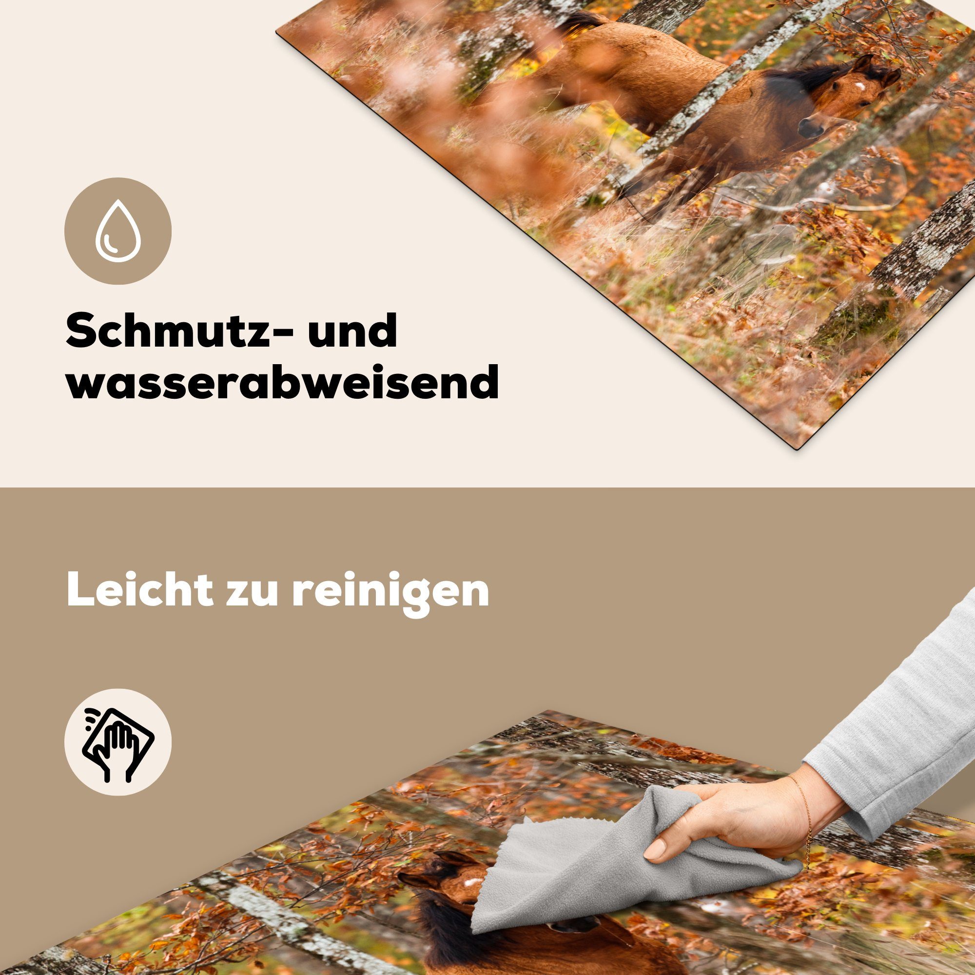 Herdblende-/Abdeckplatte für Pferd tlg), - - Wald Vinyl, Herbst, Induktionskochfeld küche, (1 81x52 MuchoWow die cm, Ceranfeldabdeckung Schutz