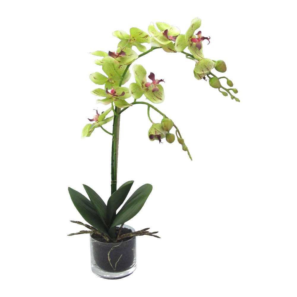 Kunstorchidee Kunstblume Phalaenopsis Orchidee im runden Glas. 2 Triebe. ca 52cm, Gasper, Höhe 52.00 cm